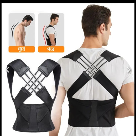 Back Support Belt